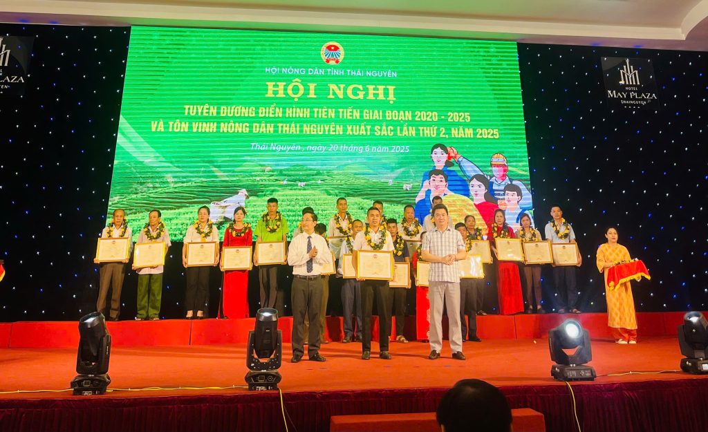 Cao Ngựa Bạch Hoan Hoa vinh dự nhận bằng khen Nông dân Thái Nguyên xuất sắc